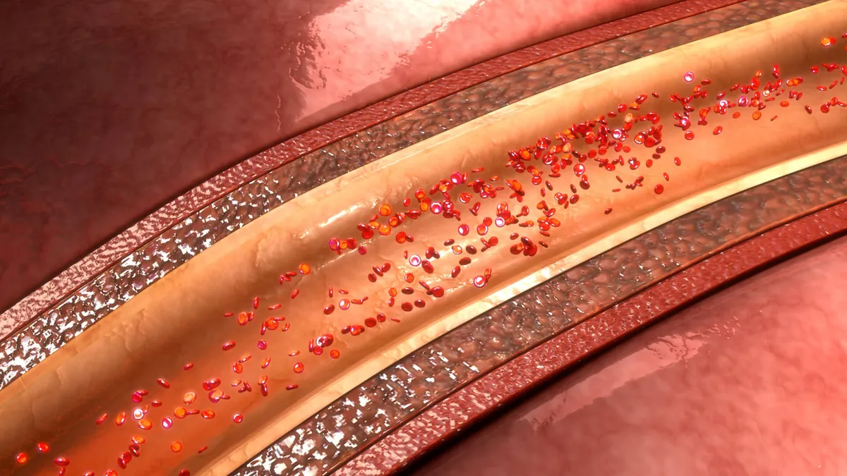 Trait: Blood Flow and Calcium