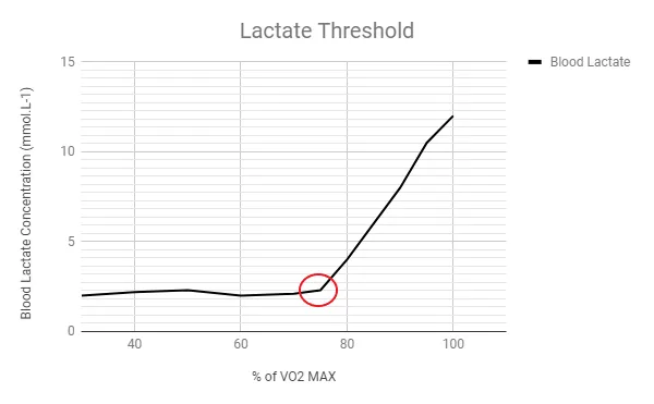 Soglia del lattato