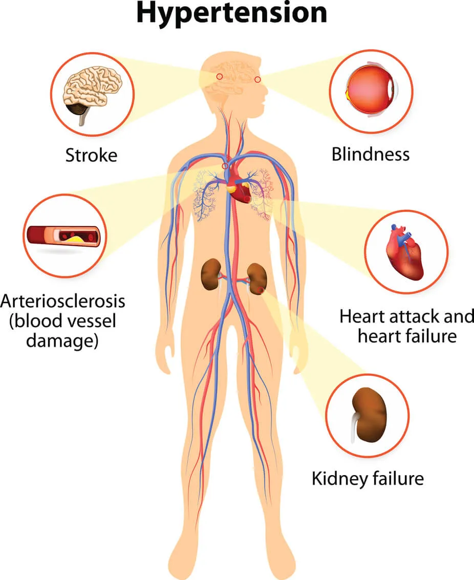 does glutathione affect blood pressure 15 Benefits: How to Improve Your Mind & Body 6 health benefits of glutathione