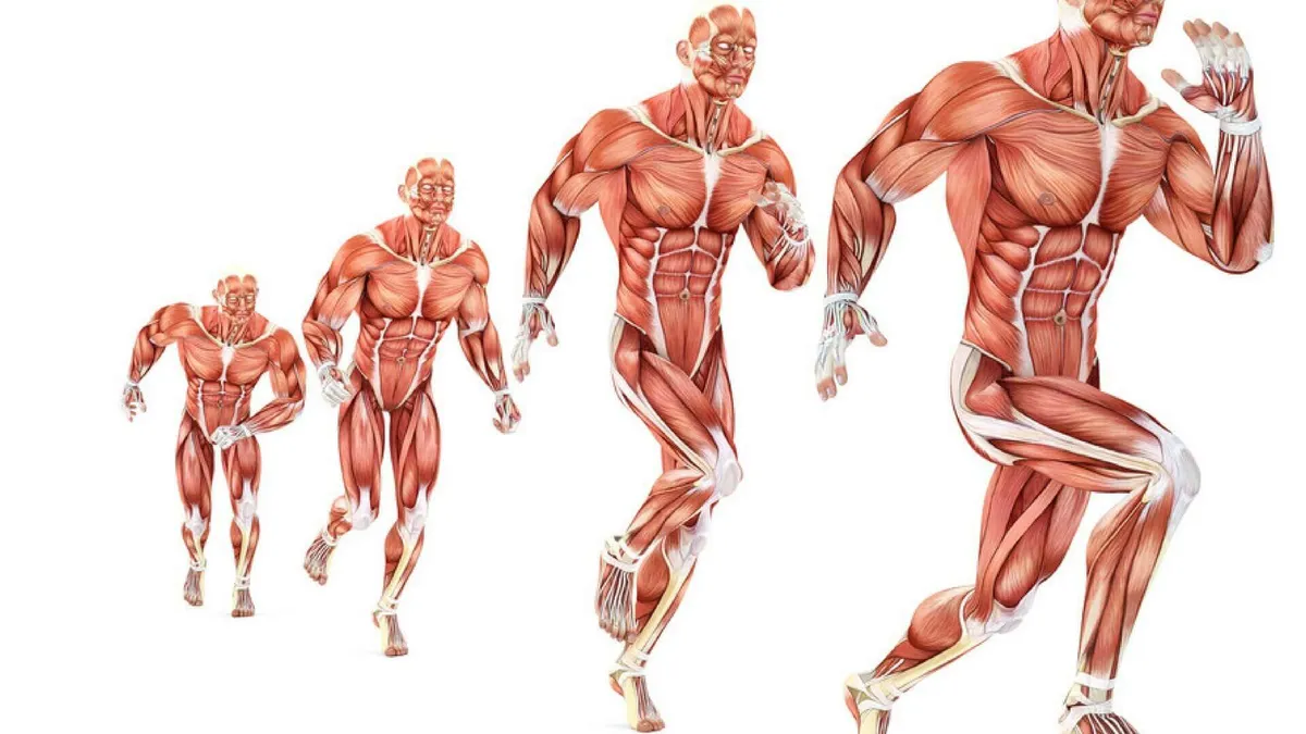 Running economy