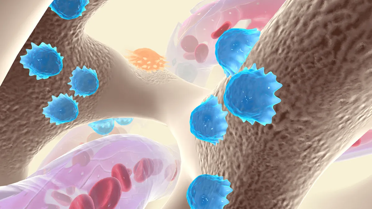 The Foundation of Bone Strength: Osteoblasts and Bone Remodelling