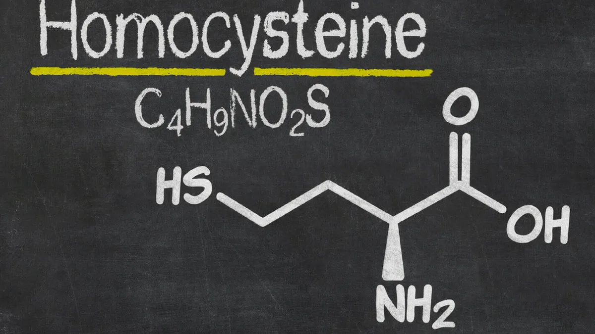 Homocysteine and your folate genes explained