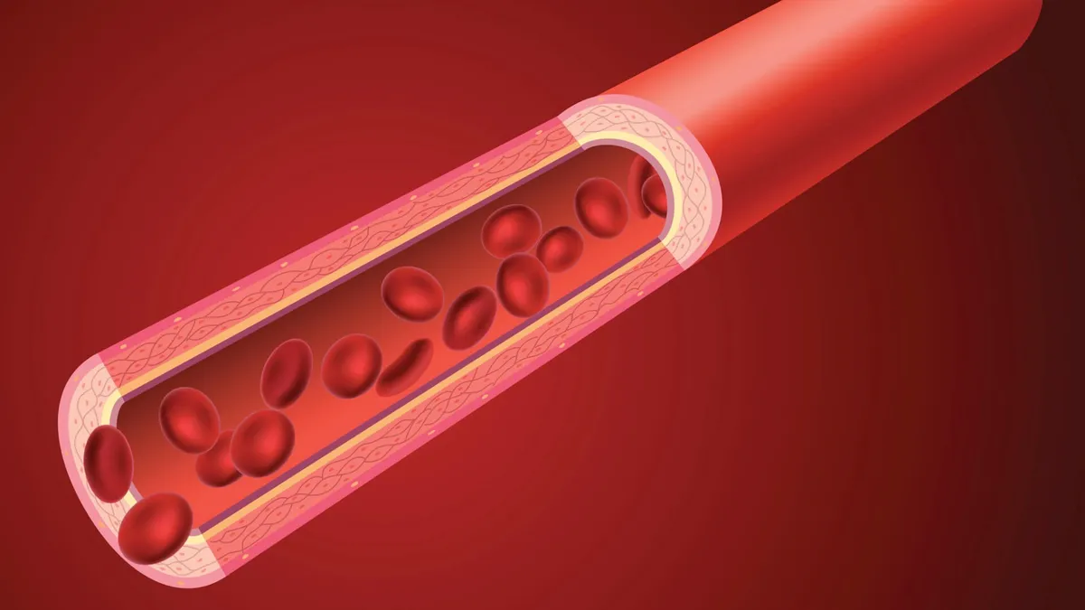 Trait: Nitric Oxide and Blood Flow