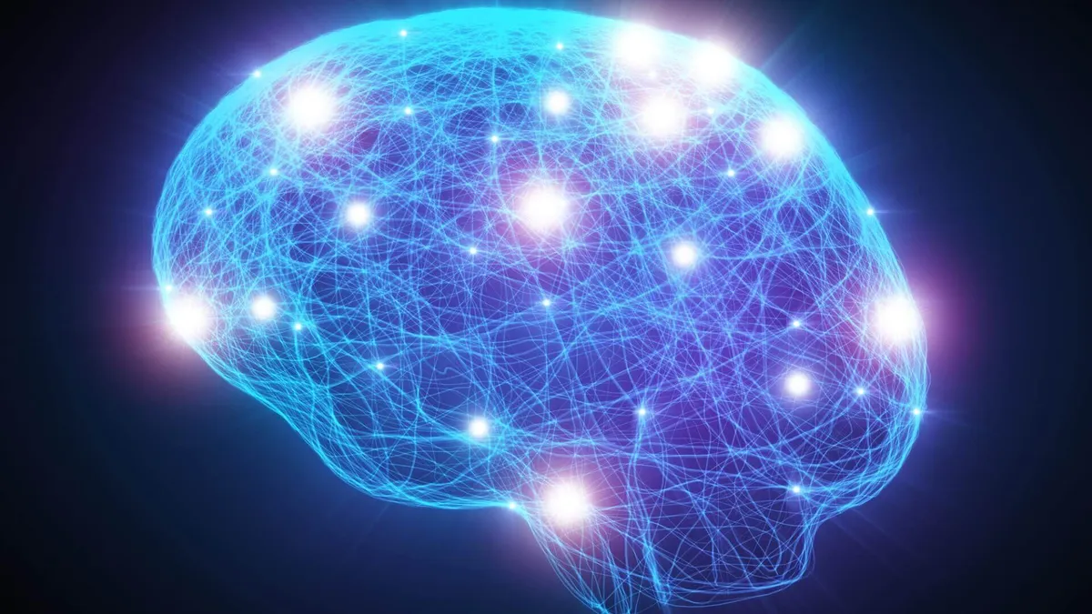 Trait: BDNF Activity and Cognition