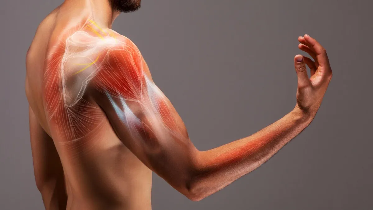 Trait: Muscle Damage (TNF-α)