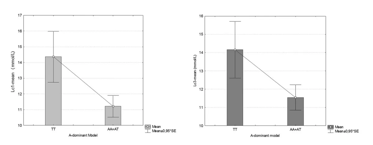 Alt text: Two bar charts comparing blood lactate concentrations between MCT-1 genotype groups (TT vs AA+AT, using an A-dominant model), with error bars representing mean ± 0.95 standard error and a line connecting the means to show the direction of difference. Left chart (Lc1-mean): Mean lactate at the first measurement point is notably higher in the TT genotype (~14.4 mmol/L) compared to the AA+AT group (~11.2 mmol/L), indicating greater lactate accumulation in TT carriers at this time point. Right chart (Lc3-mean): A similar pattern is observed at the third measurement point, with TT showing a higher mean lactate (~14.2 mmol/L) compared to AA+AT (~11.6 mmol/L). In both charts, the descending line from TT to AA+AT illustrates that individuals carrying at least one A allele (AA or AT) consistently show lower blood lactate levels than TT homozygotes, suggesting that the A allele of MCT-1 is associated with more efficient lactate clearance during exercise.