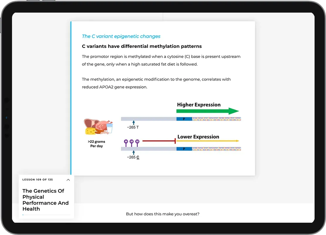 Ipad graphic showing a preview of one of the lessons in the education course. It shows a lesson on epigenetic changes that can happen to influence the expression of the APOA2 gene in response to high saturated fat intake.