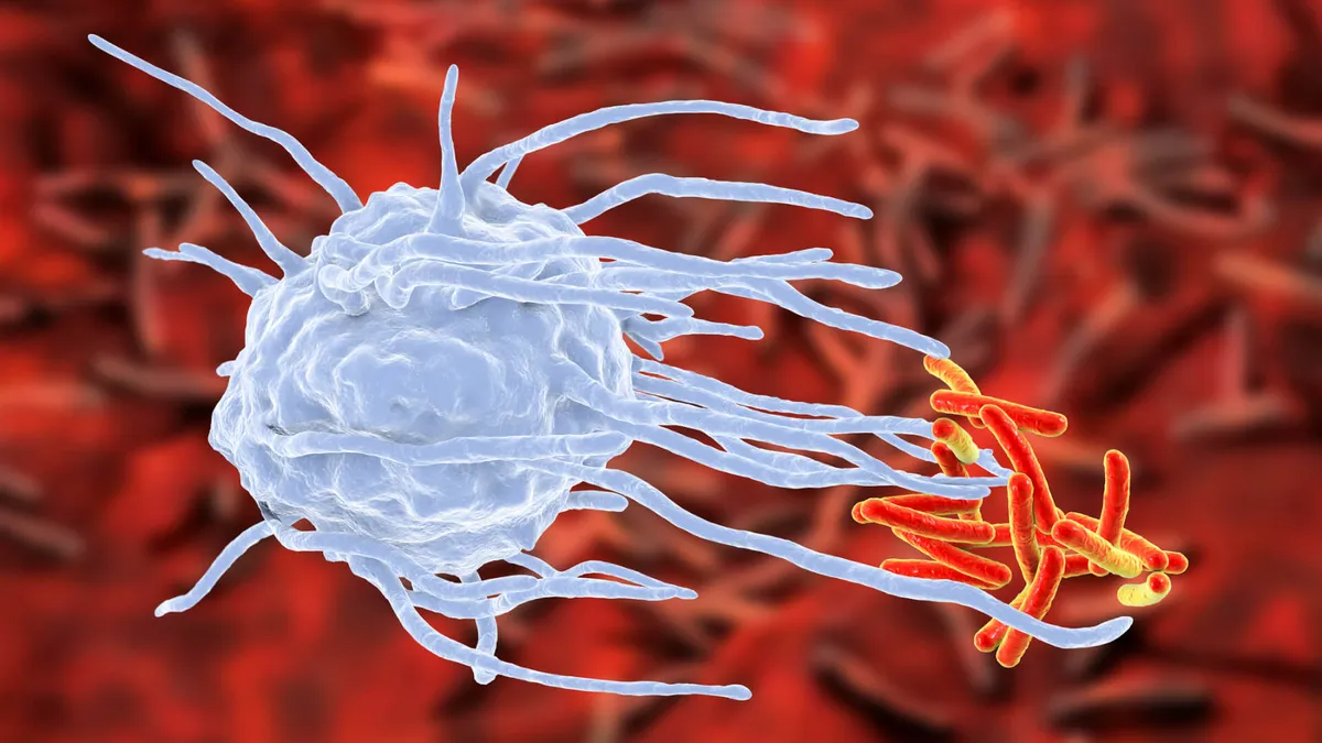 Trait: Infection susceptibility (MAL)