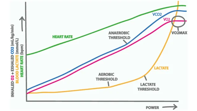 Grafico lineare che illustra le risposte fisiologiche all’aumento della potenza erogata durante l’esercizio, con cinque variabili riportate in funzione della potenza (asse x) e due assi y per lo scambio gassoso (mL/kg/min, a sinistra) e il lattato ematico (mmol/L, a sinistra) e la frequenza cardiaca (bpm, a sinistra). Sono riportate cinque curve: la frequenza cardiaca (verde) aumenta in modo sostanzialmente lineare per tutto il grafico. Il VO₂ (blu) aumenta costantemente prima di stabilizzarsi al VO₂max, indicato da un punto cerchiato sulla destra. Il VCO₂ (rosa/magenta) segue una traiettoria simile a quella del VO₂, ma aumenta più ripidamente alle intensità più elevate, superando il VO₂ in prossimità della soglia anaerobica. Il lattato (arancione/giallo) rimane basso e costante alle intensità più basse prima di aumentare bruscamente, con due punti di inflessione chiave contrassegnati: la soglia aerobica (primo aumento del lattato) e la soglia del lattato (aumento esponenziale più ripido). Il punto in cui il VCO₂ inizia a superare il VO₂ è indicato come soglia anaerobica. Il diagramma illustra la relazione tra l’aumento dell’intensità dell’esercizio e le principali soglie fisiologiche utilizzate nella valutazione delle prestazioni di resistenza.