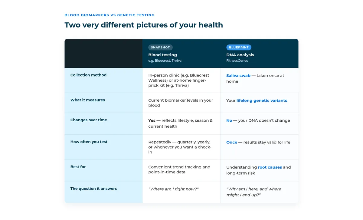 Alt text: Comparison table titled "Blood Biomarkers vs Genetic Testing: Two very different pictures of your health." Two columns compare Blood Testing (labelled "Snapshot," e.g. Bluecrest, Thriva) and DNA Analysis (labelled "Blueprint," e.g. FitnessGenes) across six rows: Collection method — blood test via clinic or at-home finger-prick kit vs. saliva swab taken once at home; What it measures — current biomarker levels vs. lifelong genetic variants; Changes over time — yes, reflects lifestyle, season, and current health vs. no, DNA doesn't change; How often you test — repeatedly (quarterly, yearly, or on demand) vs. once, with results valid for life; Best for — trend tracking and point-in-time data vs. understanding root causes and long-term risk; The question it answers — "Where am I right now?" vs. "Why am I here, and where might I end up?"