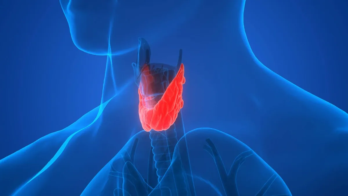 Trait: Thyroid Function