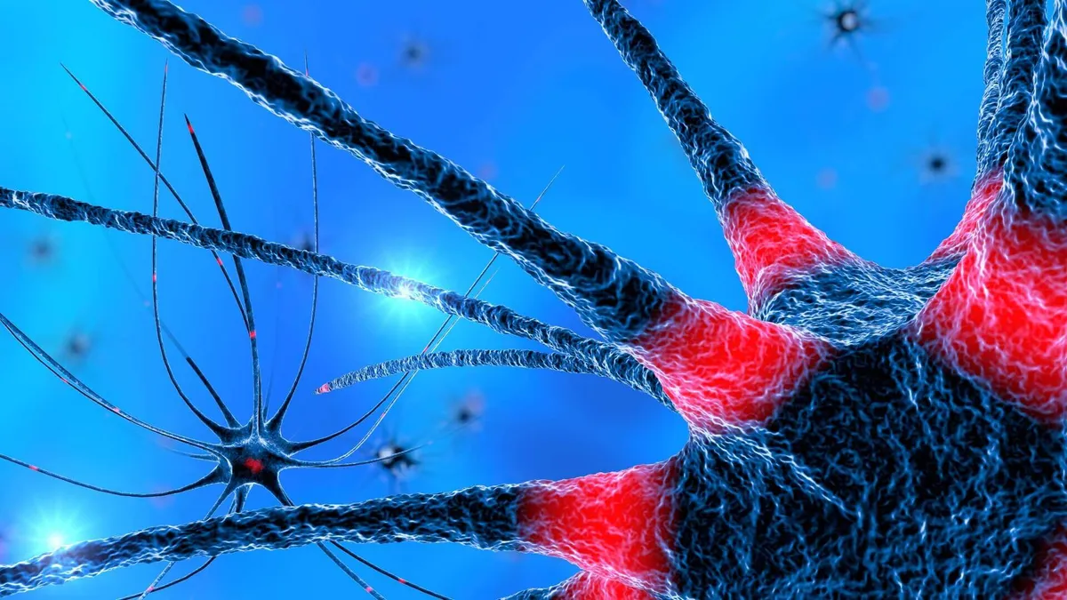 Trait: Dopamine Metabolism (MAO)