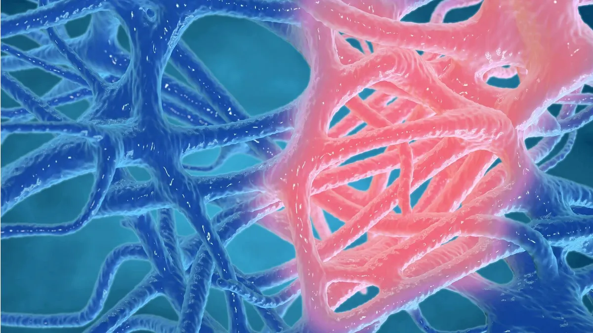 Trait: Inflammation and IL-6
