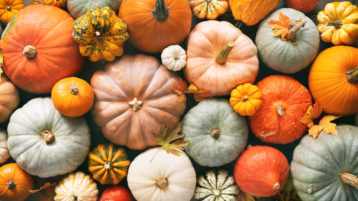 What are the benefits of eating pumpkin?