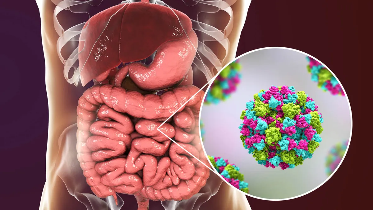 Trait: Reducing Norovirus Infections (FUT2)