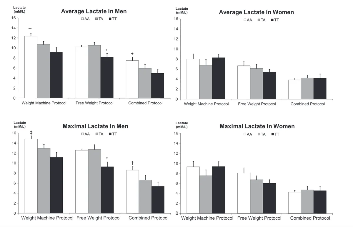 Four grouped bar charts comparing blood lactate levels (mM/L) across three exercise protocols and three ACTN3 genotypes (AA — white bars, TA — grey bars, TT — black bars), separated by sex and lactate measure. Error bars indicate standard deviation, and statistical significance symbols (**, *, †, ‡) denote significant differences between genotypes within a protocol. Average Lactate in Men (top left): Across all three protocols (Weight Machine, Free Weight, Combined), the AA genotype consistently produces the highest average lactate and TT the lowest. Significant genotype differences are observed in the Weight Machine Protocol (**) and Free Weight Protocol (*) and Combined Protocol (†), with values declining from ~12.3 (AA) to ~9.3 (TT) in the Weight Machine condition. Average Lactate in Women (top right): A similar trend is present but differences between genotypes are smaller and no significant differences are marked. Values across all protocols range from approximately 4–8 mM/L, lower overall than in men. Maximal Lactate in Men (bottom left): The same genotype pattern is observed for peak lactate, with AA producing the highest values (~14.7 mM/L in the Weight Machine Protocol) and TT the lowest (~5.6 mM/L in the Combined Protocol). Significant differences are marked in all three protocols (‡, *, †). Maximal Lactate in Women (bottom right): Maximal lactate values in women show a similar directional trend but no statistically significant genotype differences are indicated. Values range from approximately 4–9.5 mM/L across protocols. Overall, the charts suggest that the ACTN3 R577X genotype influences lactate production during resistance exercise, particularly in men, with the AA genotype associated with higher lactate responses across protocols.
